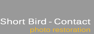 Contact Short Bird Studio